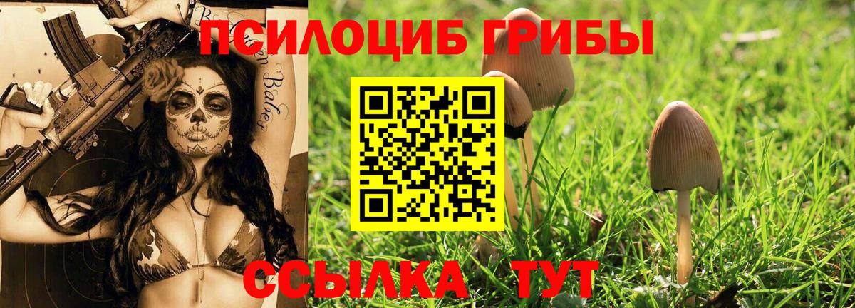 Галлюциногенные грибы Psilocybine cubensis  Вход с VPN  Ухта 